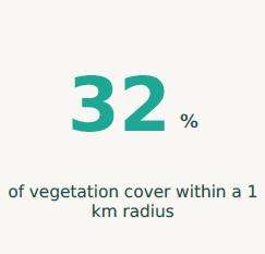 Vegetation Cover