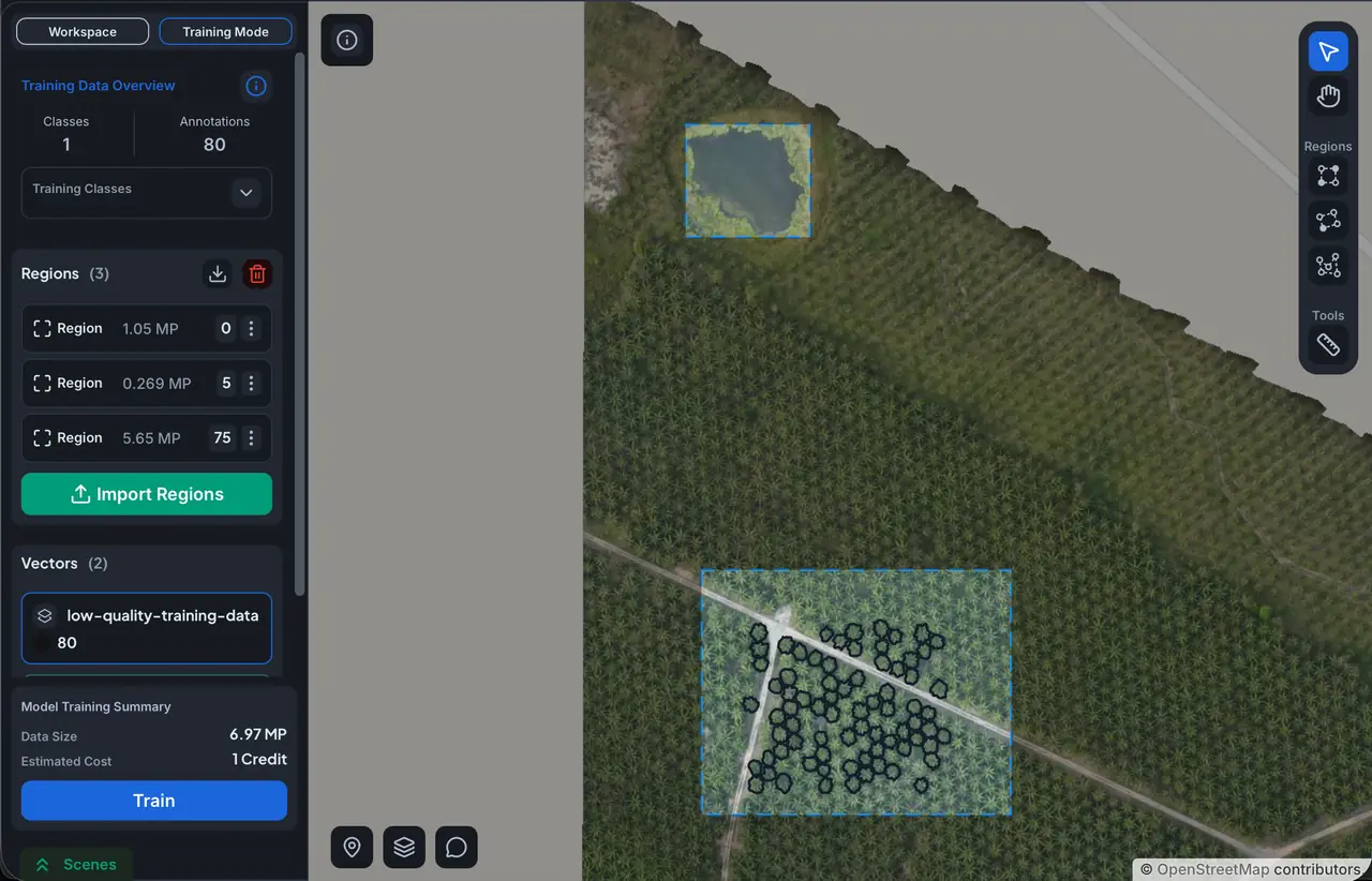 Negative region placed over a small body of water next to a palm grove with annotations