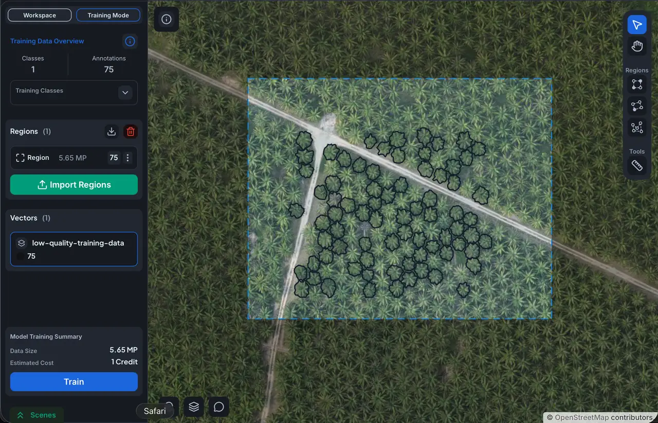 Training region with several instances of the class left unannotated